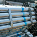 Low price thin wall galvanized steel pipe                        
                                                Quality Choice